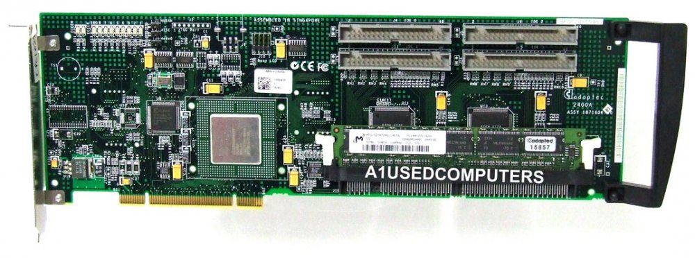 cpci0280.jpg